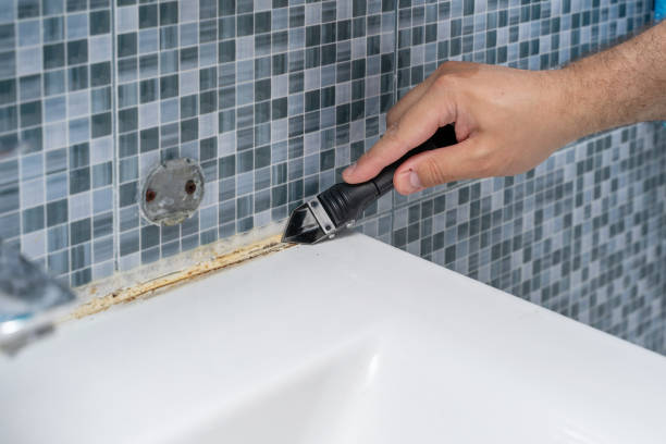 Best Mold Remediation for Schools in On Top Of The World Designated Place, FL